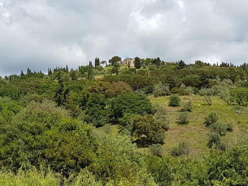hotel image 28