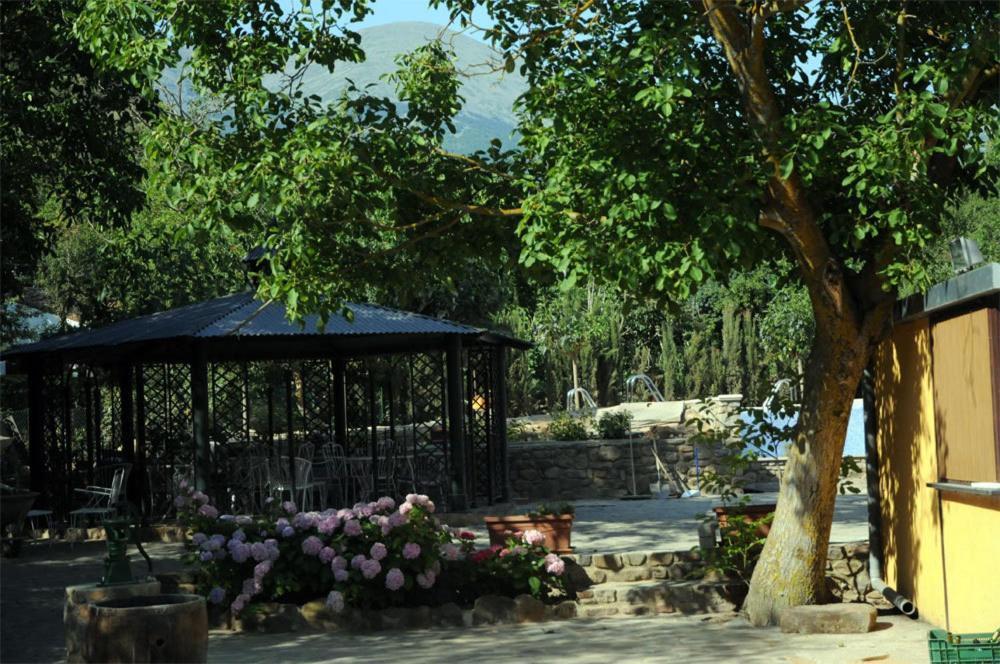 hotel image 10