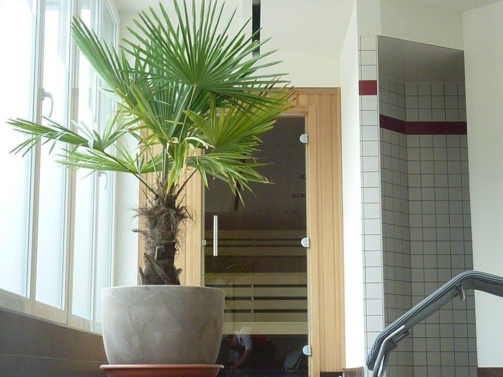 hotel image 15