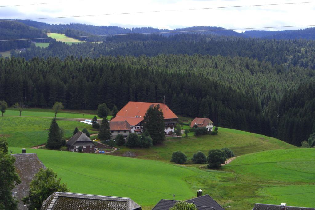 hotel image 11