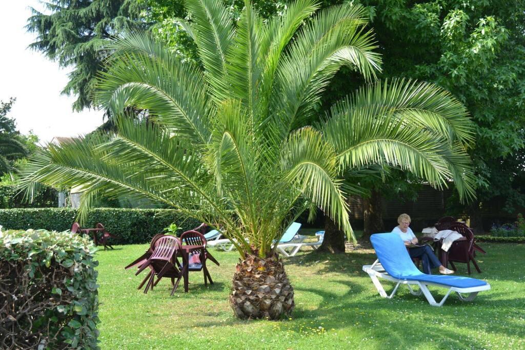 hotel image 17