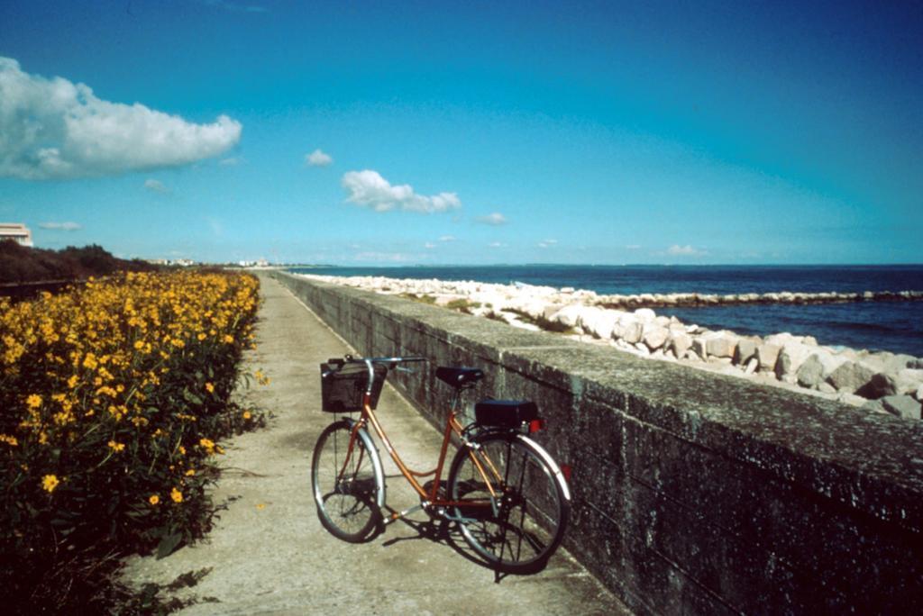 hotel image 37
