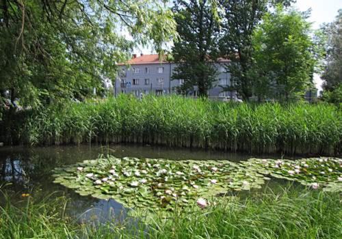 hotel image 36