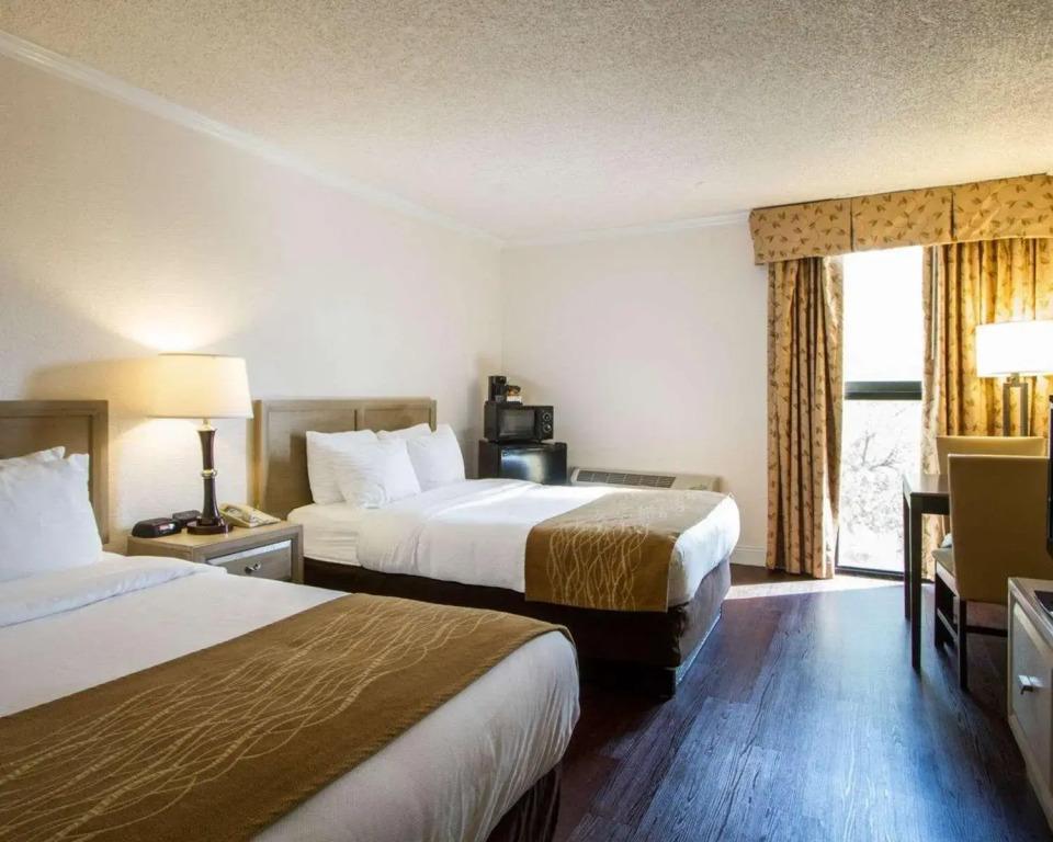 hotel image 37