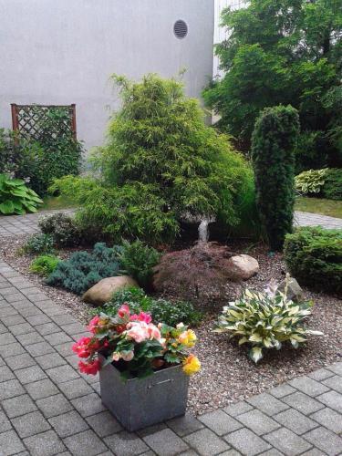 hotel image 14