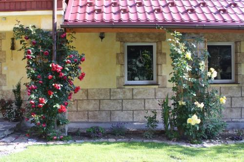 hotel image 17