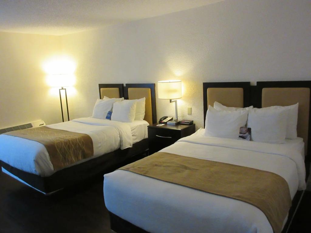 hotel image 45