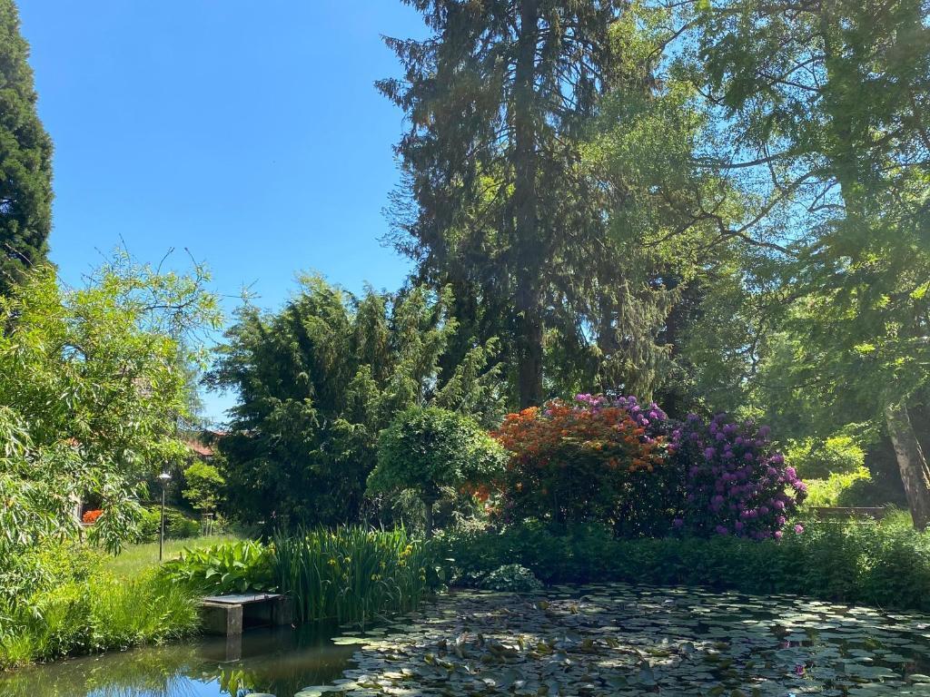 hotel image 31