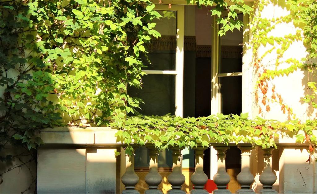 hotel image 17