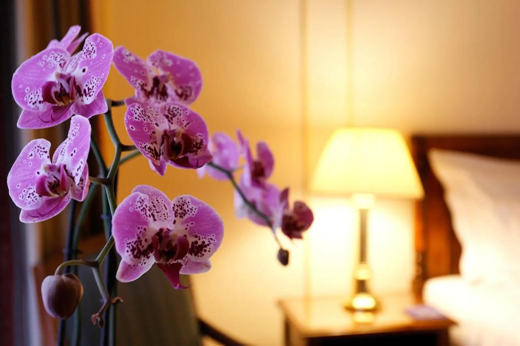 hotel image 24