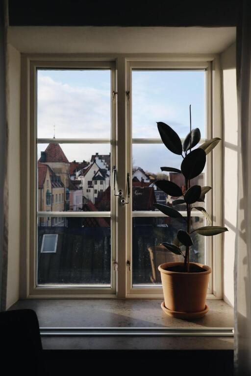 hotel image 35