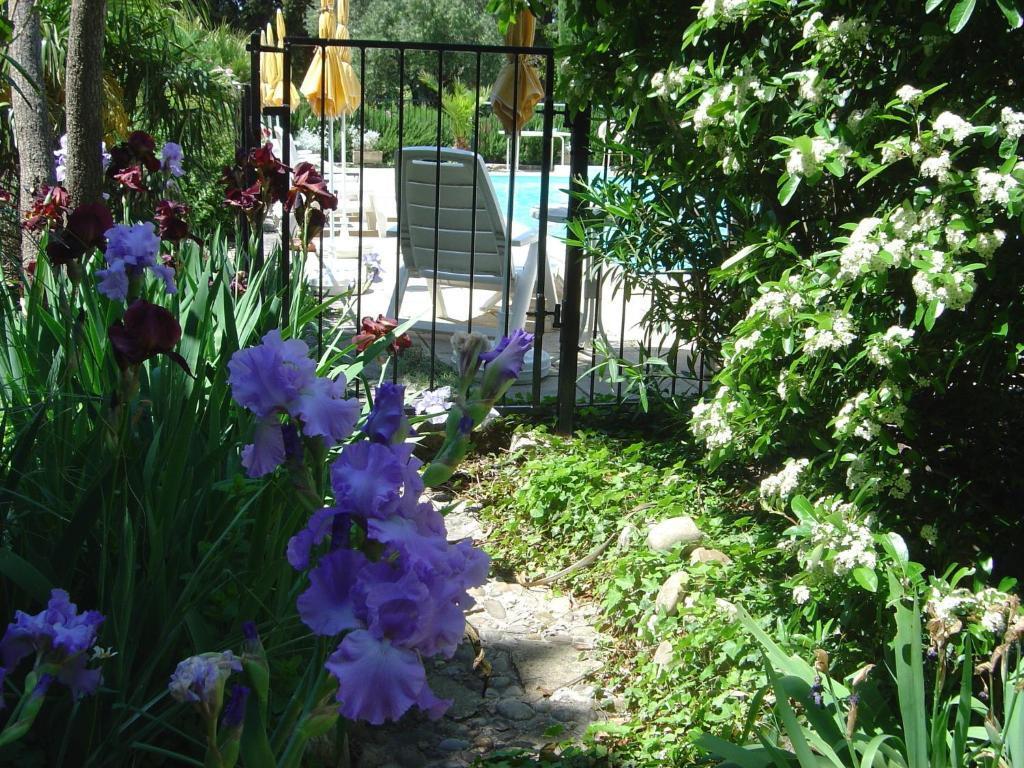 hotel image 16