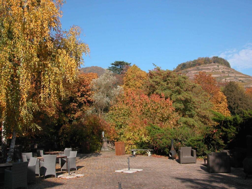 hotel image 24