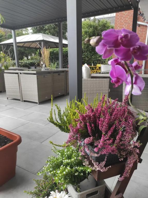 hotel image 16
