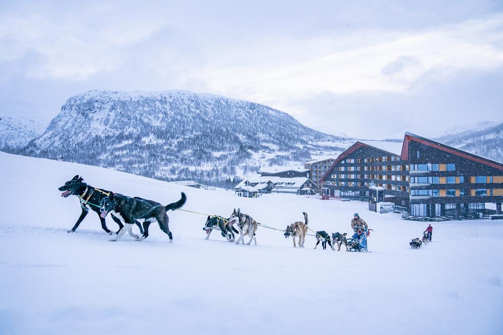 hotel image 12