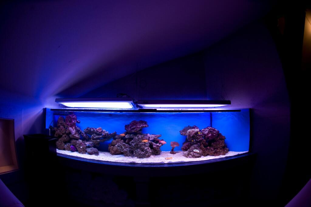 hotel image 31