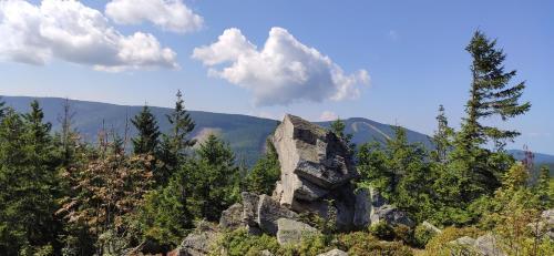 hotel image 35