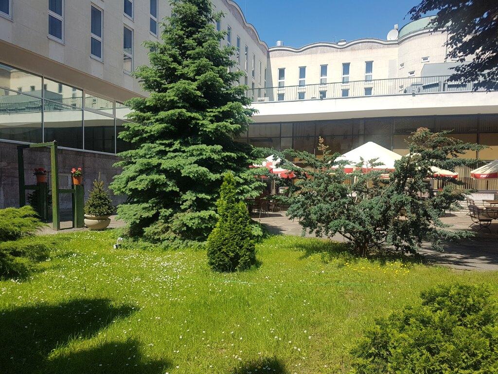 hotel image 13