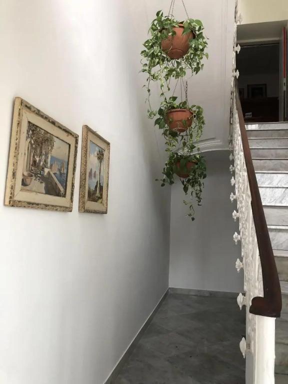 hotel image 19