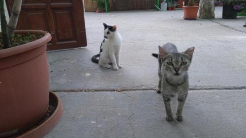 hotel image 33