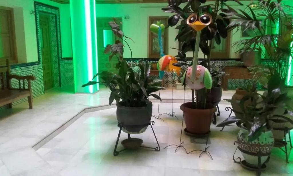 hotel image 13