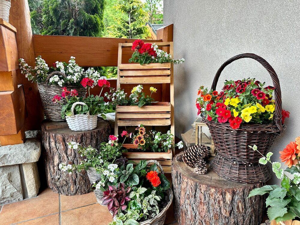 hotel image 13