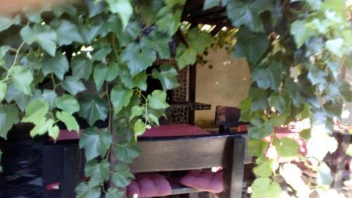 hotel image 39