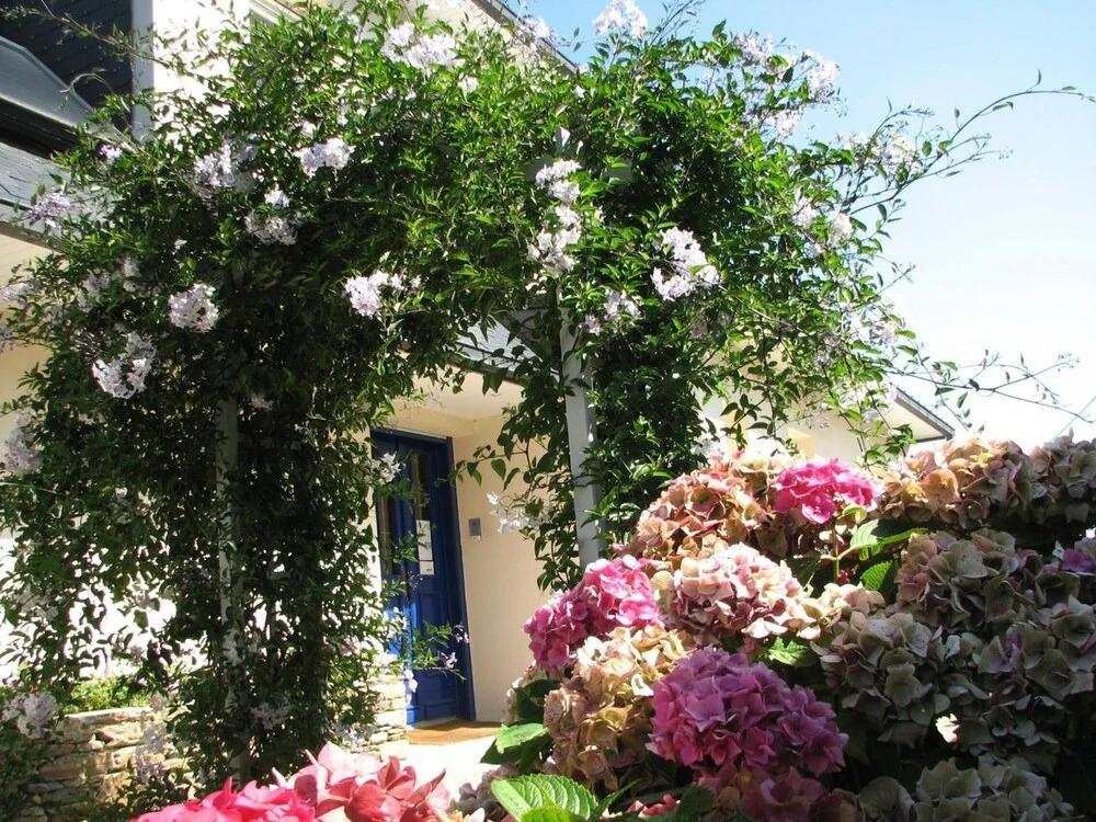 hotel image 11