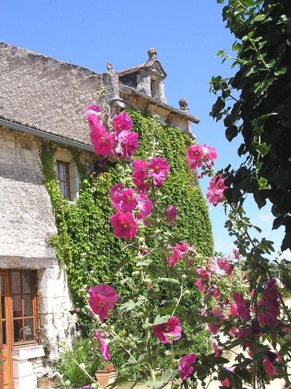 hotel image 23