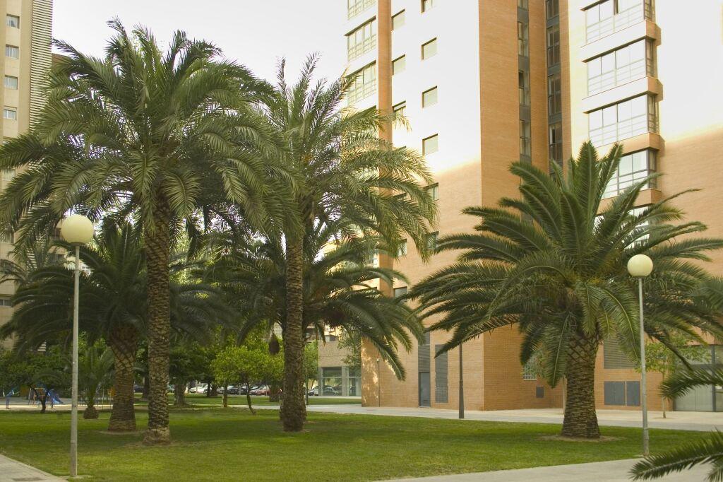hotel image 14