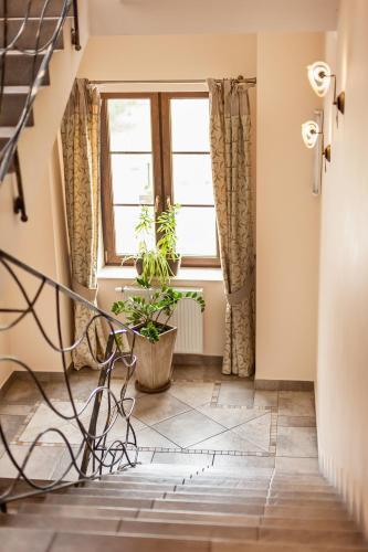 hotel image 24