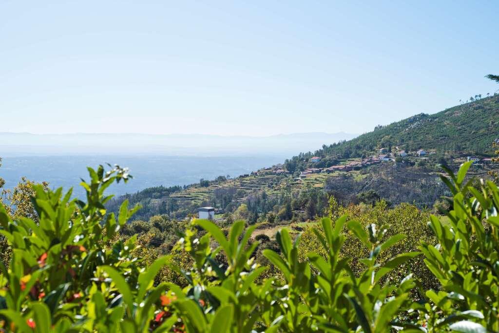 hotel image 26