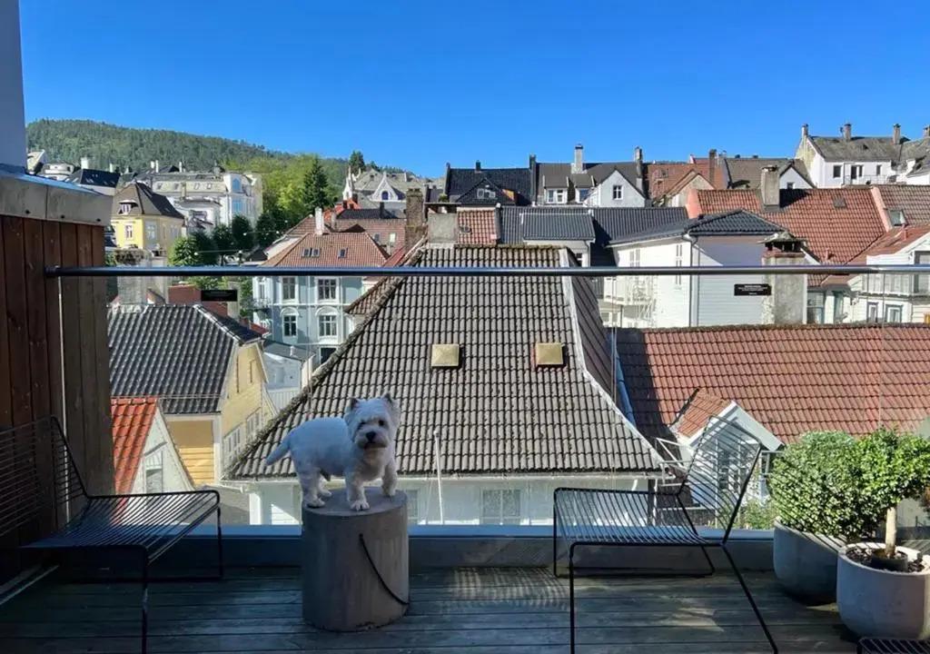 hotel image 23