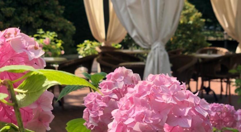 hotel image 23