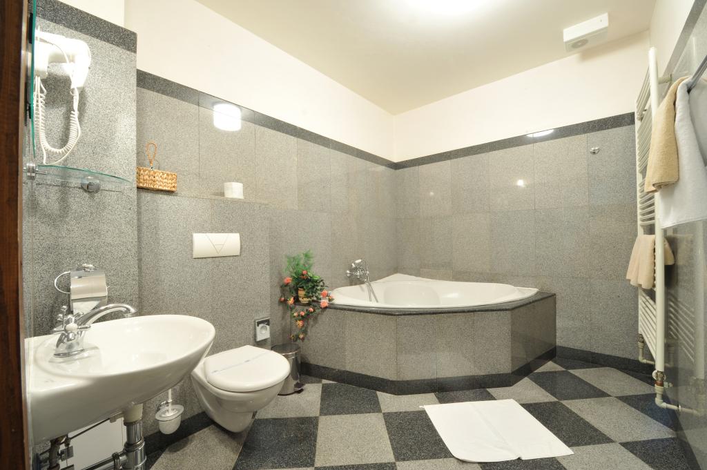 hotel image 15
