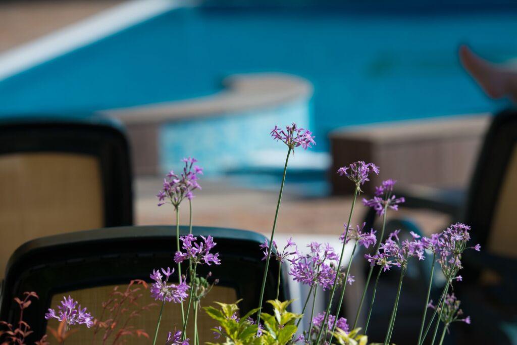 hotel image 21