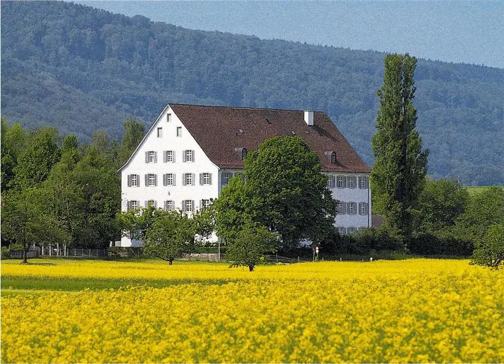 hotel image 40