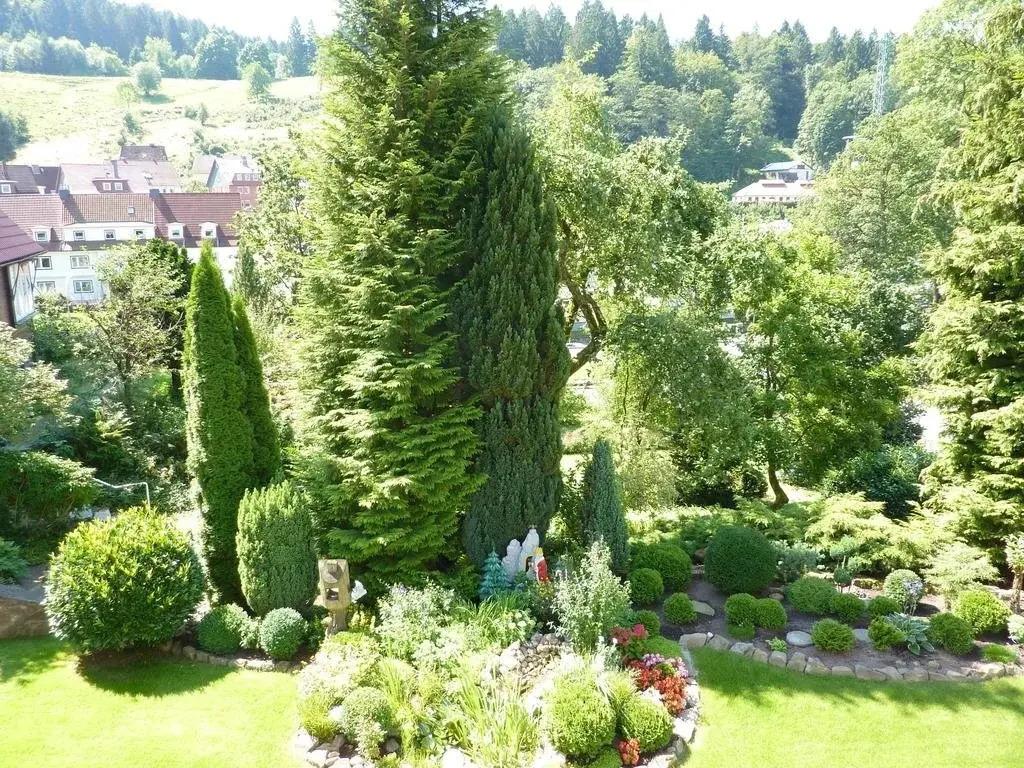 hotel image 17