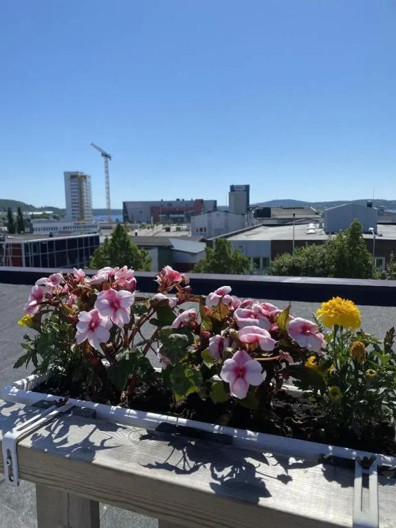 hotel image 22