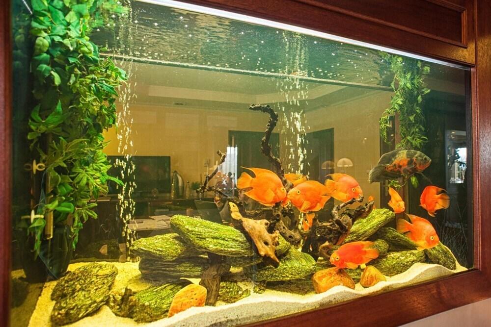 hotel image 22