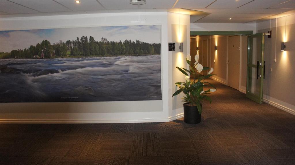 hotel image 11