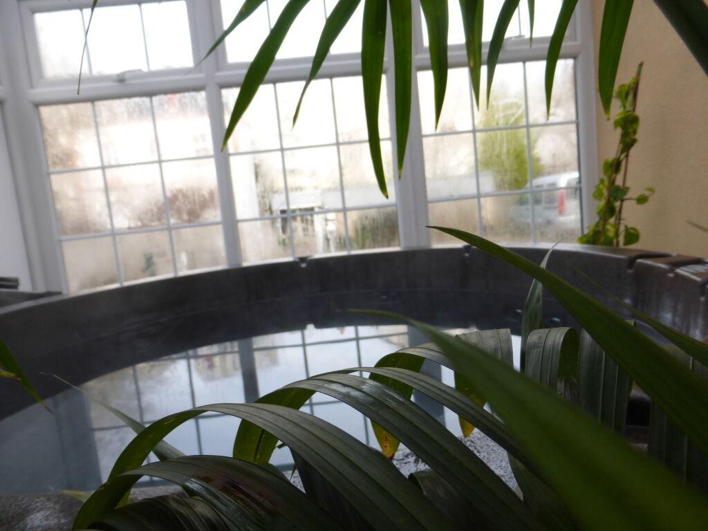 hotel image 38