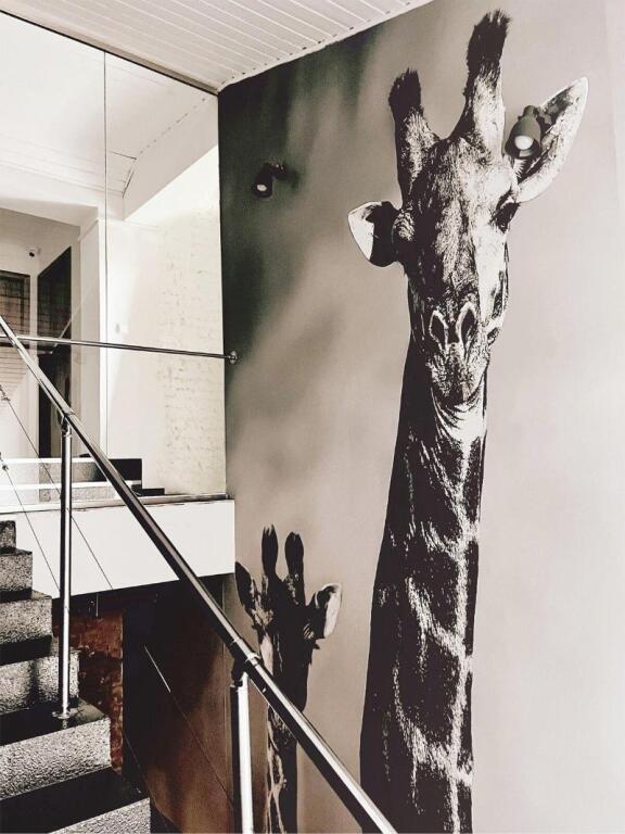 hotel image 19