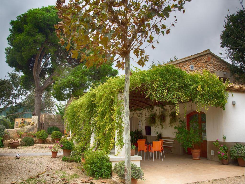 hotel image 9