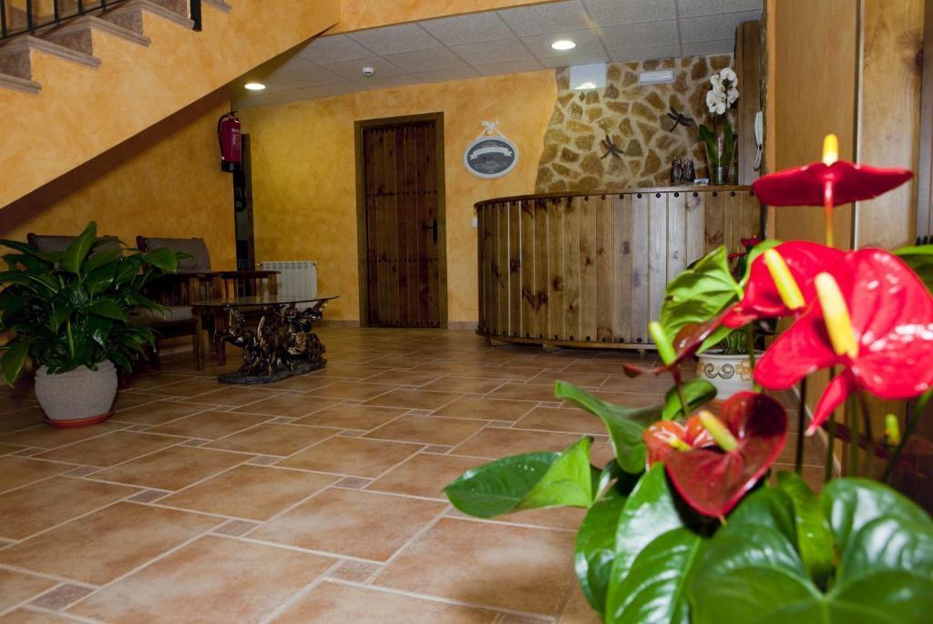hotel image 21