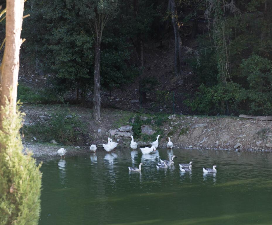hotel image 26
