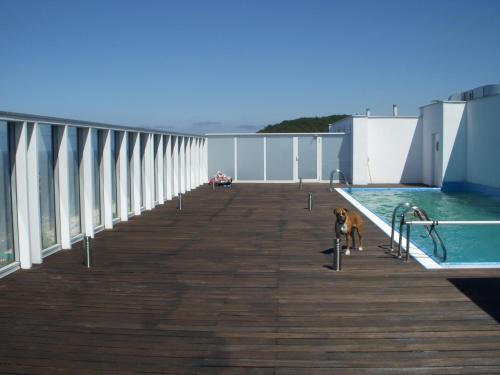 hotel image 19