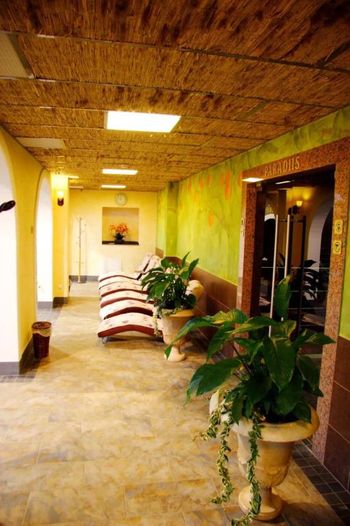 hotel image 11