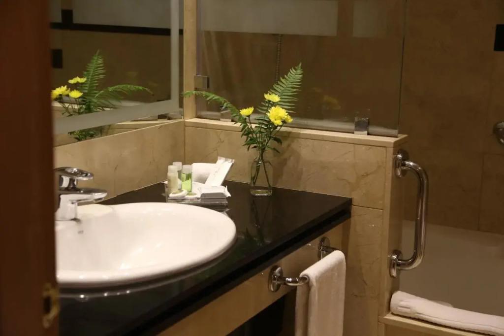 hotel image 42