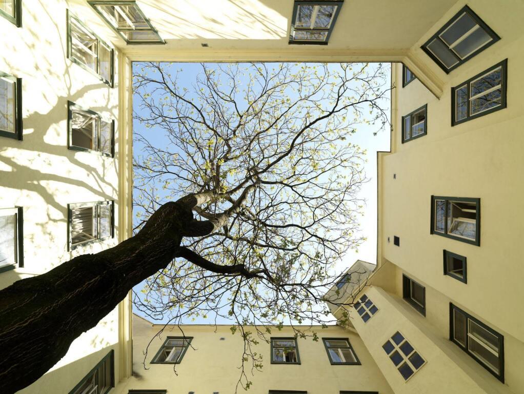 hotel image 20